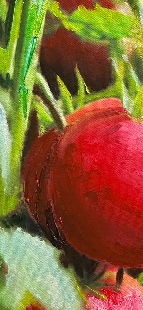 
                  
                    Close up of tomatoes and texture to highlight detail hand work.
                  
                