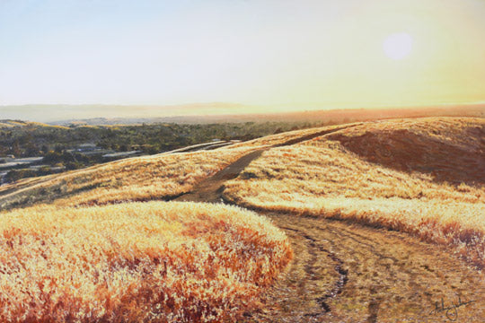 California golden grass surrounds rugged dirt path winding through the hills with city and valley in the distance. 