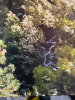 Close up of lush forrest scene with trickling waterfall and stream.