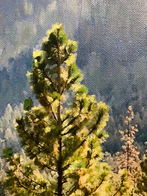 
                  
                    Close up of fine brushwork of evergreen brush tree with mountains in the distance. 
                  
                